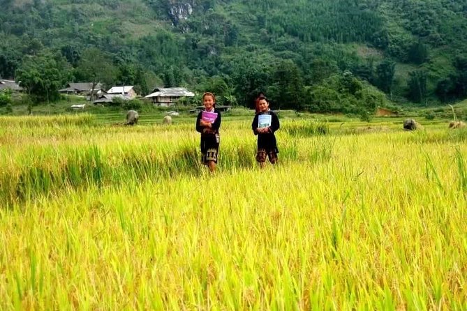 Sapa Valley Trek and Homestay - 3D2N Private Tour - Health and Accessibility