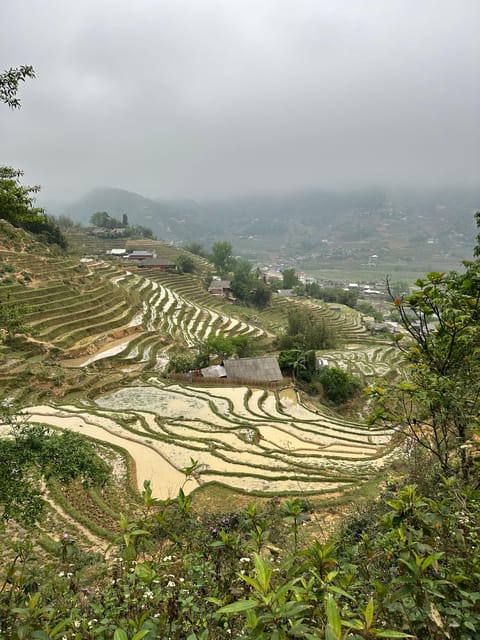 Sapa, Vietnam: Trekking Tour With a Local Guide - Easy Tour