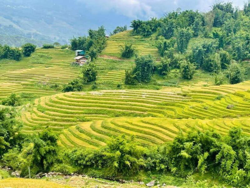 Sapa Villages And Rice Terraced Trekking - 1Day - Key Points