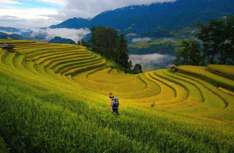 Sapa Villages And Rice Terraced Trekking - 1Day - Itinerary Highlights