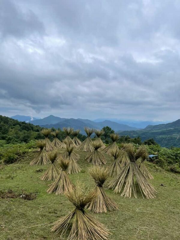 Sapa: Y Linh Ho - Lao Chai and Ta Van Villages Trek Day Tour - Deep Dive into the Details