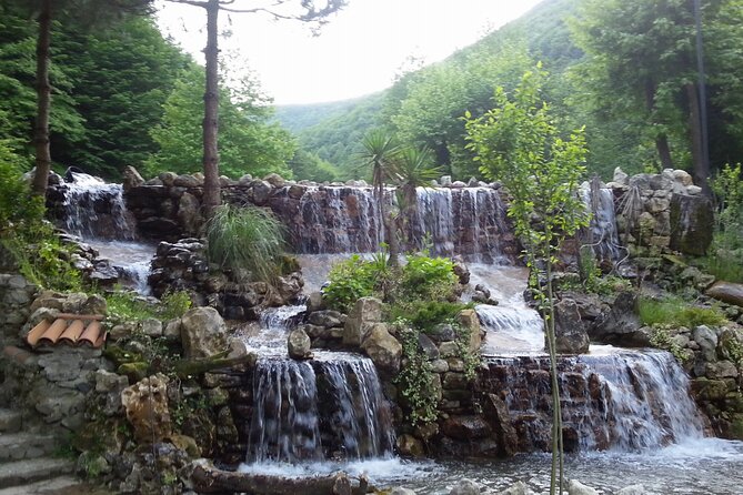 Sapanca and Masukiye Day Trip With Lunch - Inclusions