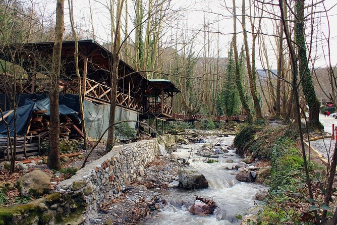 Sapanca And Masukiye Tour With Lunch - Full Day - Lunch Experience