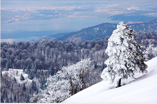 Sapanca and Zoo Private Tour From Istanbul - VIP Minivan - Best Quality - Highlights of the Tour