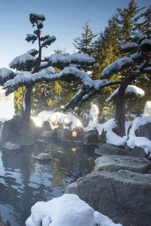 Sapporo 1-Day Tour With Toyako Lake Hot Spring - Pricing