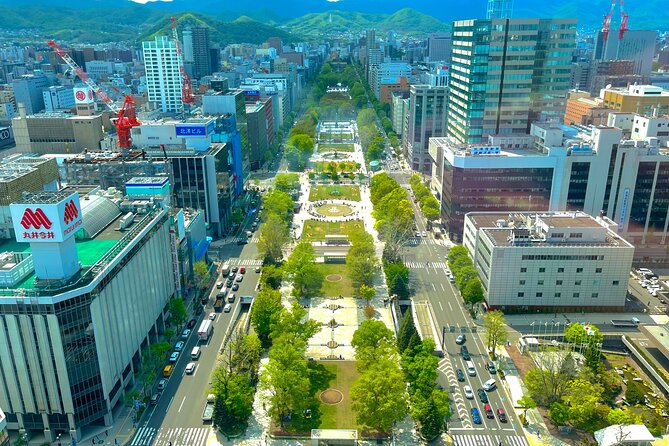 Sapporo Afternoon Walking Tour 2h 30mins - Cancellation Policy