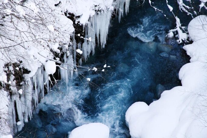Sapporo: Asahikawa Zoo, Shirahige Falls, Ningle Terrace Tour - Dining and Accessibility Considerations