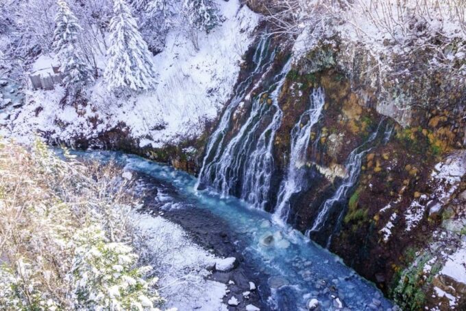 Sapporo: Asahikawa Zoo, Shirahige Falls, Ningle Terrace Tour - Frequently Asked Questions