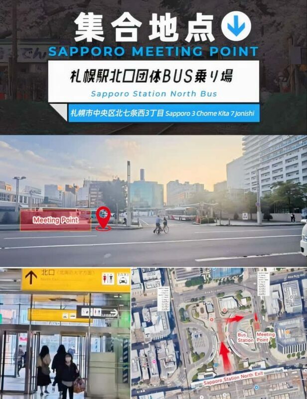 Sapporo: Asahiyama Zoo and Ningle Terrace Trip /w Pickup - Key Points