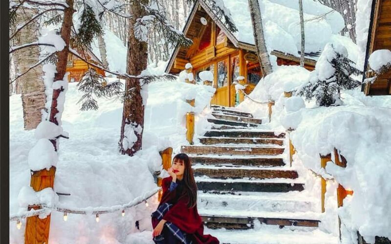 Sapporo: Asahiyama Zoo and Shirahige Falls Trip /w Pickup - Who Would Love This Tour?