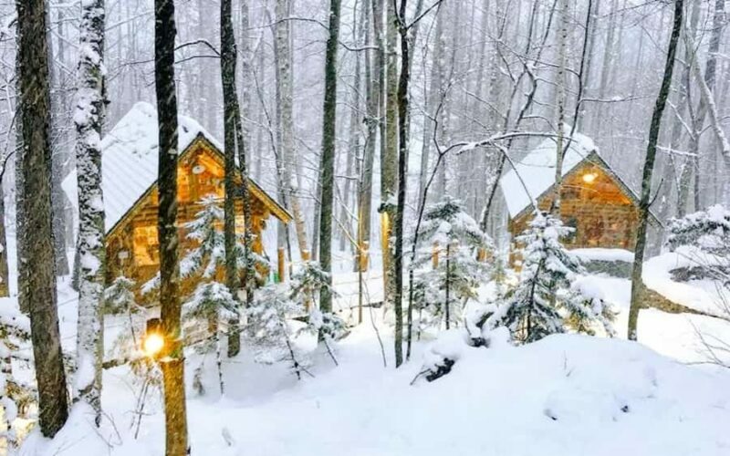 Sapporo: Asahiyama Zoo and Shirahige Falls Trip /w Pickup - FAQ