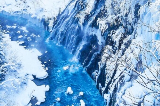 Sapporo: Asahiyama Zoo, Shirahige Falls & Biei Pond Day Tour - Exploring Asahiyama Zoo
