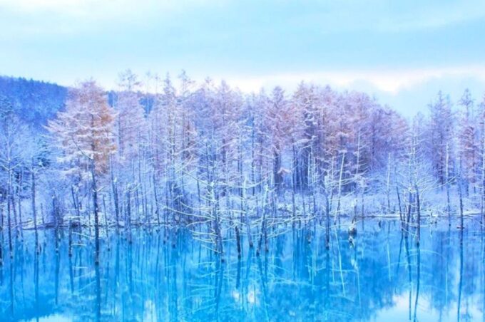 Sapporo: Asahiyama Zoo, Shirahige Falls & Biei Pond Day Tour - Capturing the Beauty of Shirahige Falls