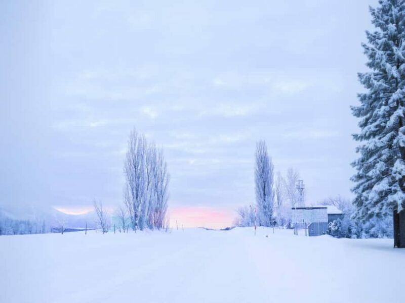 Sapporo: Asahiyama Zoo, Snow Activity, & Ningle Terrace Tour - Practical Tips for Travelers
