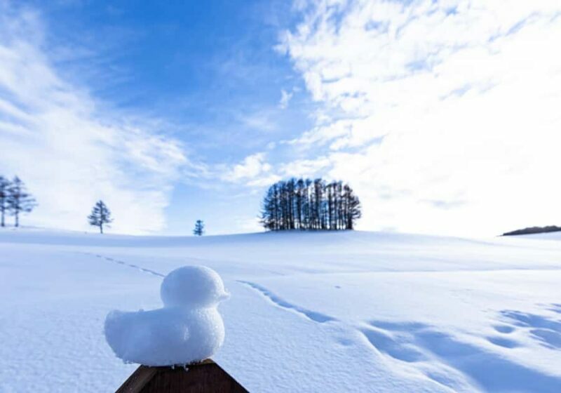 Sapporo: Biei Best 5 Must-Visit Day Tour (Late Departure) - An In-Depth Look at the Tour Experience