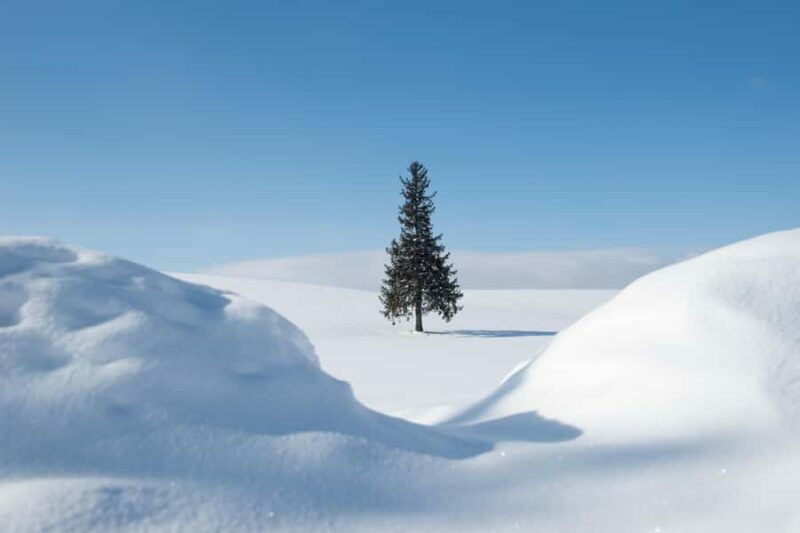 Sapporo: Biei Best 5 Must-Visit Day Tour (Late Departure) - Final Thoughts: Who Should Take This Tour?