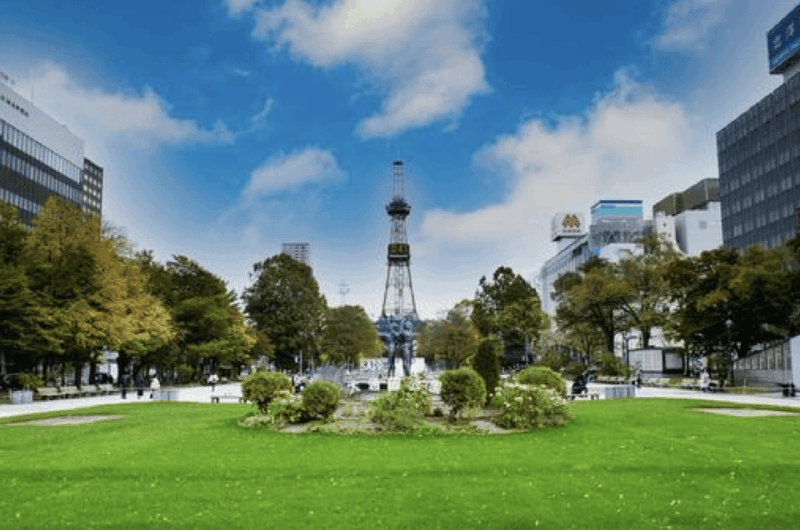 Sapporo: City Highlights Guided Tour With Local Guide - Itinerary Highlights