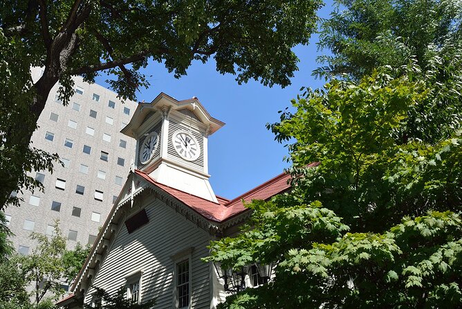 Sapporo City Tour and Seasonal Events in Odori Park Exploration - Accessibility and Participation Considerations
