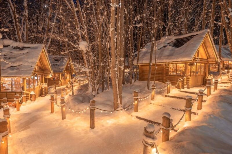 Sapporo Departure: Asahiyama Zoo Winter 1-Day Tour - Photo Opportunities