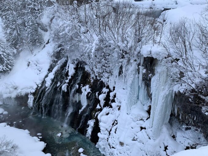 Sapporo Departure: Asahiyama Zoo Winter 1-Day Tour - Cancellation Policy and Refunds