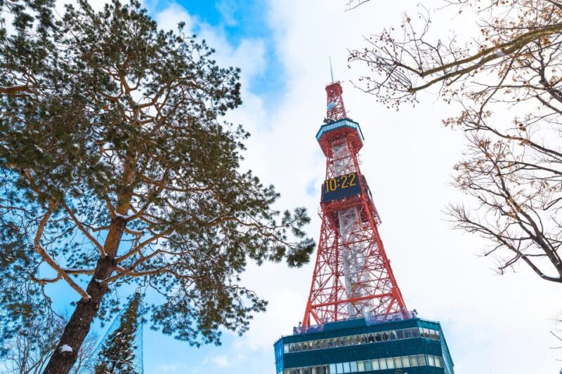 Sapporo Highlights: Art, Nature, and Architecture Tour - Akarenga Terrace