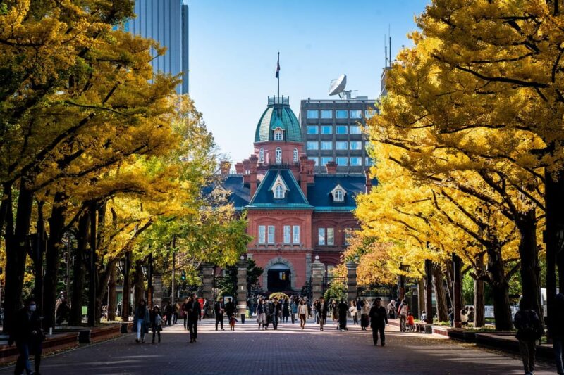 Sapporo Highlights: Art, Nature, and Architecture Tour - JR Tower Observatory T38