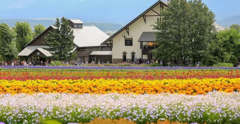 Sapporo: Hokkaido Biei Aoike and Furano Flower Sea Day Trip - Key Points