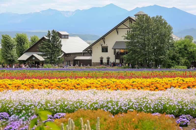 Sapporo: Hokkaido Biei Aoike and Furano Flower Sea Day Trip - Itinerary Overview