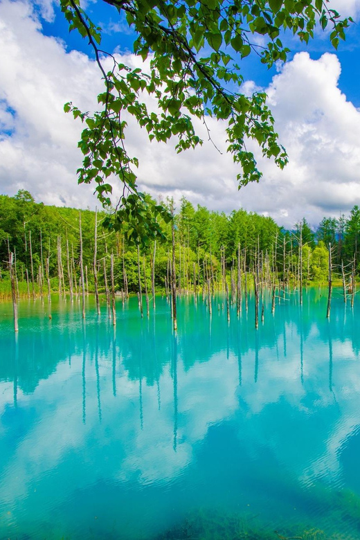 Sapporo: Hokkaido Biei Aoike and Furano Flower Sea Day Trip - Jette Kostar and Eight Sceneries