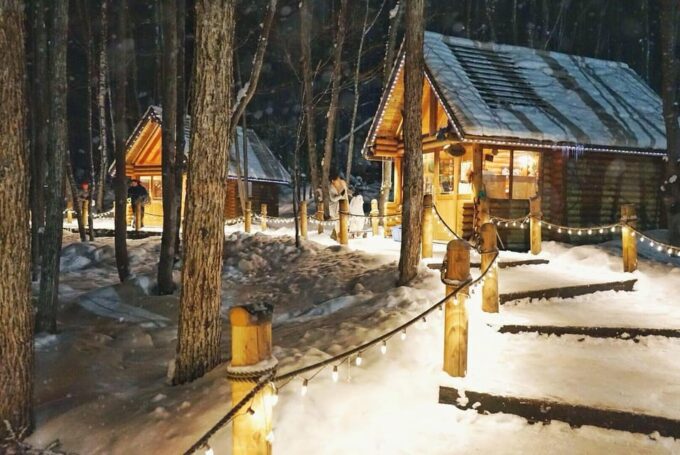 Sapporo: Hokkaido Biei Aoike and Furano Flower Sea Day Trip - Important Travel Information