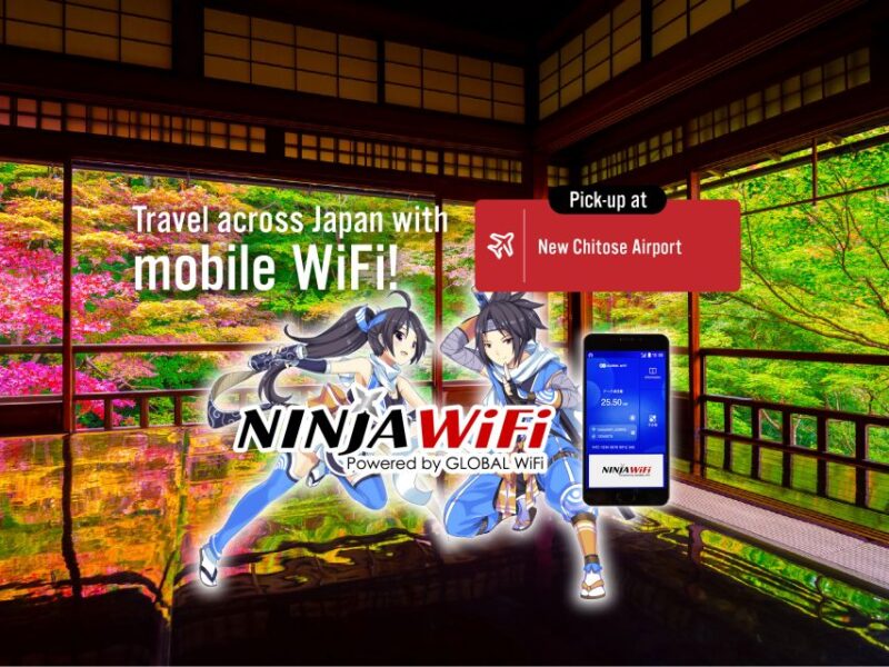 Sapporo: New Chitose Airport Domestic Terminal WiFi Rental - Rental Periods and Pricing