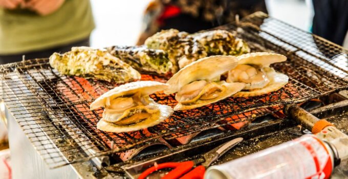 Sapporo: Private and Personalized Eat Like a Local Tour - Accessibility and Cancellation Policy