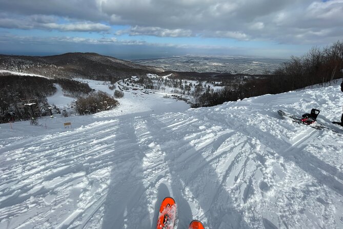 Sapporo Private Ski/ Snowboard Lesson With Pick-Up Service - Key Points