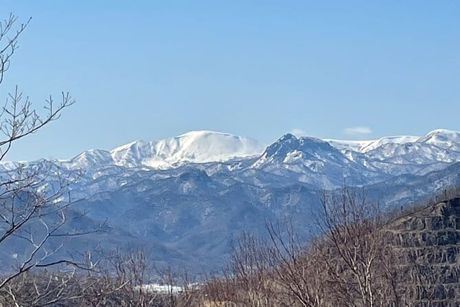 Sapporo Privete Tour: Royce Town, Autumn Foliage, Sunset Viewing - Royce Chocolate Town Experience