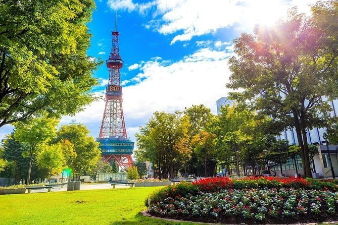 Sapporo Privete Tour: Royce Town, Autumn Foliage, Sunset Viewing - Tour Highlights and Feedback