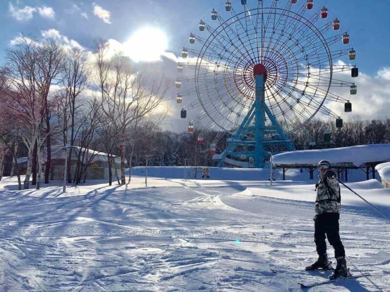 Sapporo Teine All-Inclusive Ski & Snowboard in Private Class - Pricing and Value Analysis