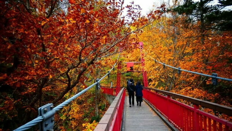 Sapporo: The Indigenous Ainu People & Jozankei walking tour - Exploring the Cultural Heart: The Ainu Cultural Center