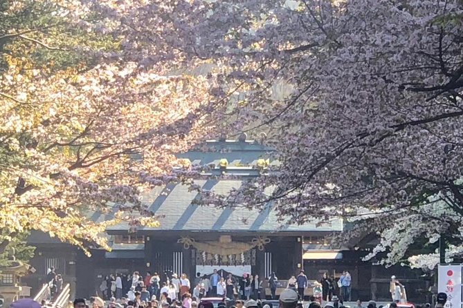 Sapporo - Travel by Private Car! Takino Cemetery, Hokkaido Shrine, Shiroi Koibito Park - Key Points