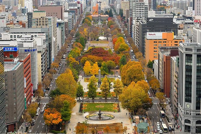 Sapporo TV Tower - Visitor Experience and Reviews