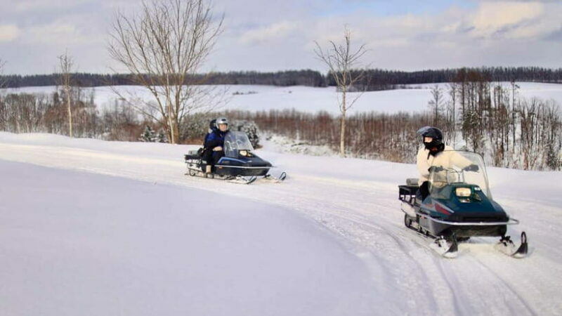 Sapporo Winter : Asahiyama Zoo (Penguin Fun & Snowmobile) - Who Should Consider This Tour?