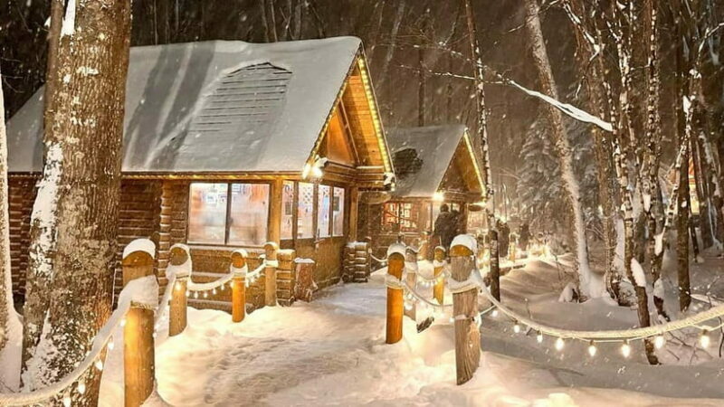 Sapporo Winter : Asahiyama Zoo (Penguin Fun & Snowmobile) - Final Thoughts