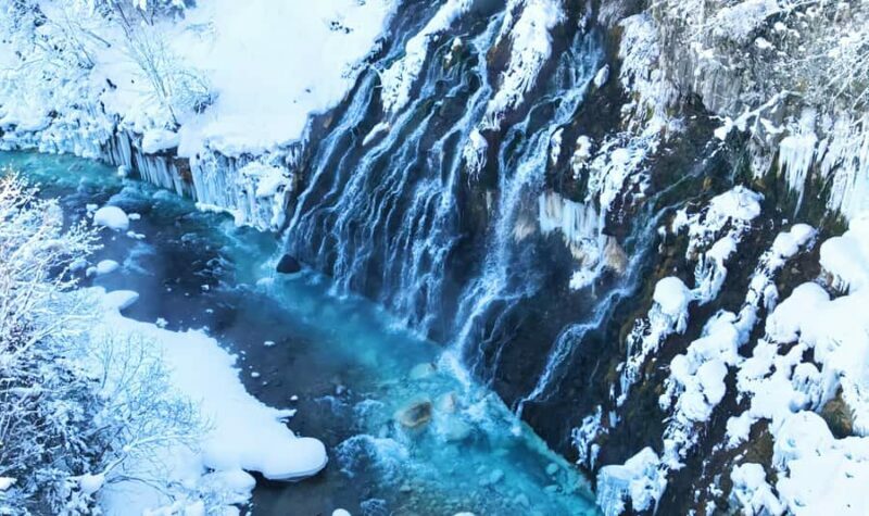 Sapporo:Asahiyama Zoo,Shirahige Waterfall&Blue Pond Day Trip - Key Points