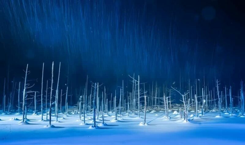 Sapporo:Asahiyama Zoo,Shirahige Waterfall&Blue Pond Day Trip - Starting Point and Transportation