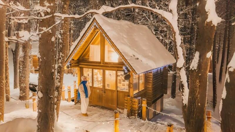 Sapporo:Asahiyama Zoo,Shirahige Waterfall&Blue Pond Day Trip - Shirogane Blue Pond: Nature’s Artistic Masterpiece
