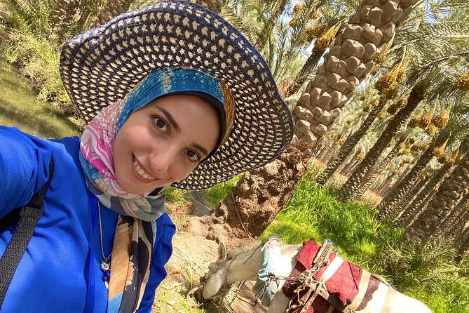 Saqqara, Dahshur, Memphis (Part of Profit Dedicated to Stray Animals) - Transportation and Lunch