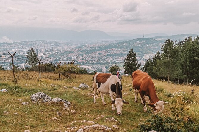 Sarajevo City Tour: Urban Hike off the Beaten Path - Bosnian Cuisine and Local Flavors