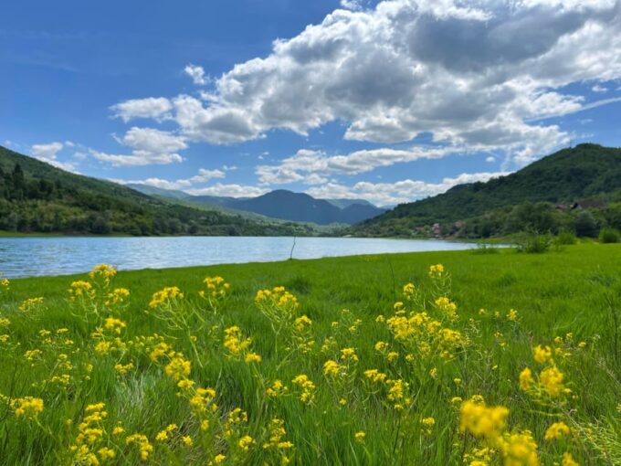 Sarajevo: Mostar, Konjic, Pocitelj, Blagaj Tekke, Stolac - Customer Reviews and Insights