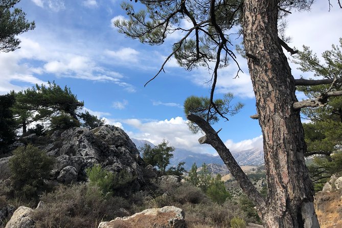 Sarakina Gorge & High Mountains & South Coast & (Luxury Adventure) - Accessibility