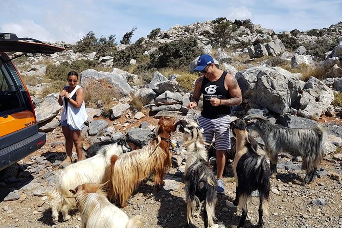 Sarakina Gorge & High Mountains & South Coast & (Luxury Adventure) - Cretan Cuisine