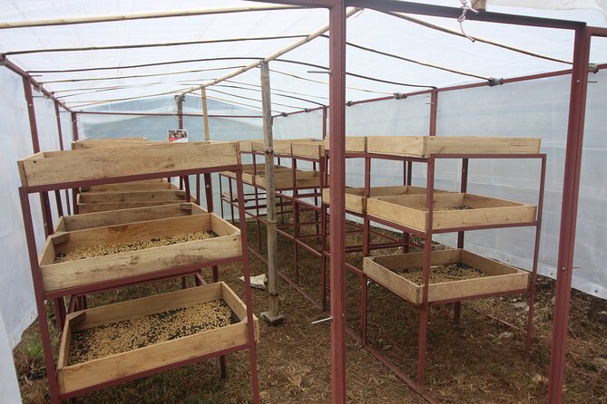 Sarangkot Village Coffee Culture and Authentic Local Life Tour - Itinerary and Hiking